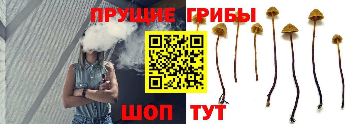 Галлюциногенные грибы Psilocybe  Вход с VPN  Красногорск  Псилоцибиновые грибы Magic Shrooms 