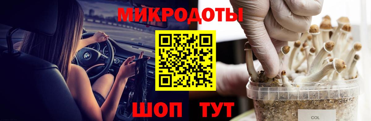 Псилоцибиновые грибы GOLDEN TEACHER Красногорск